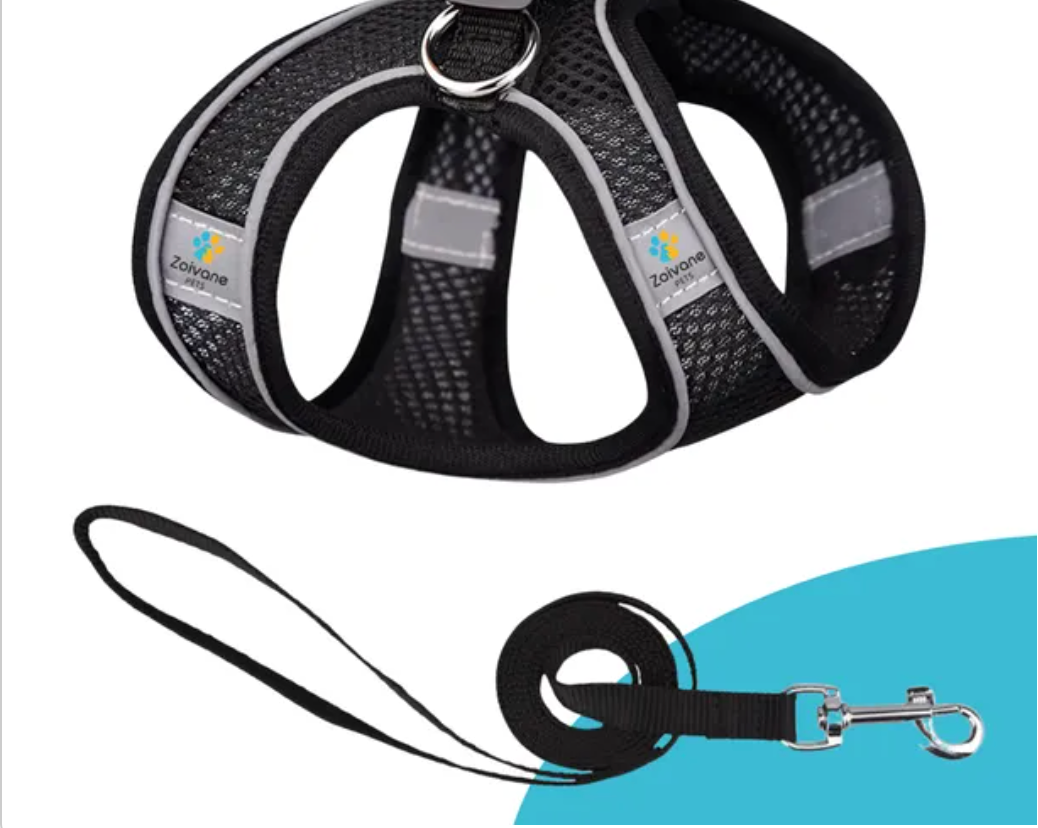 Pet Care Harness for Cats (Black)
