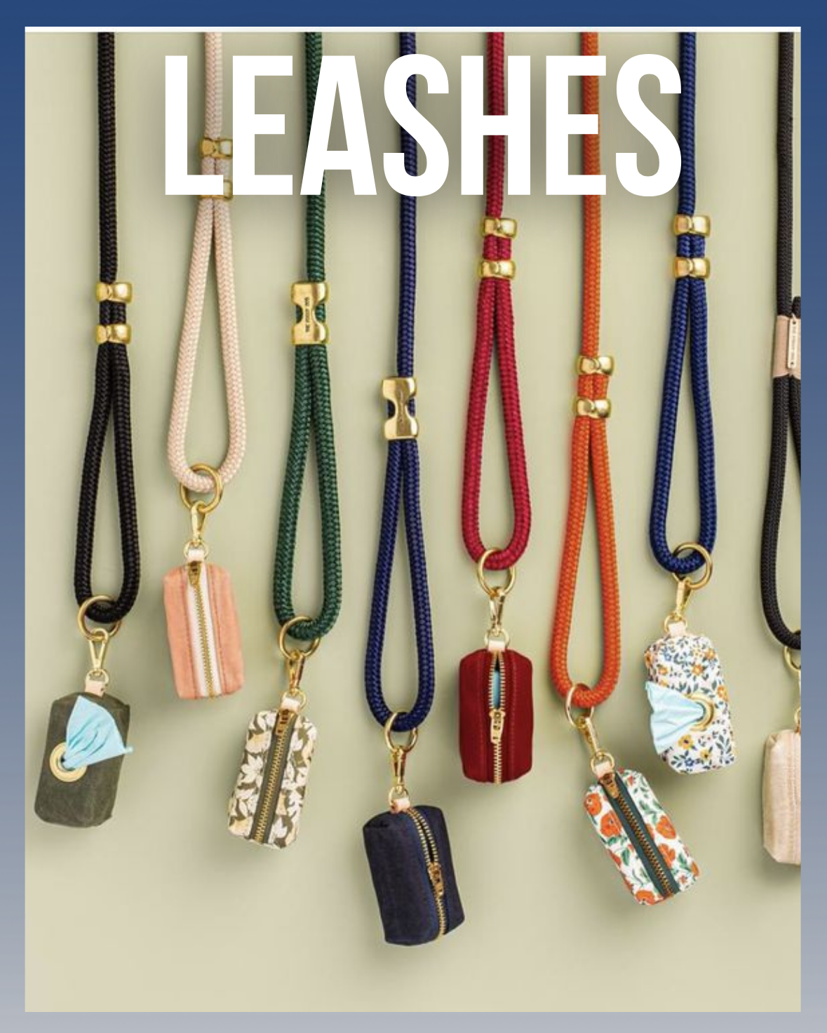 Leashes