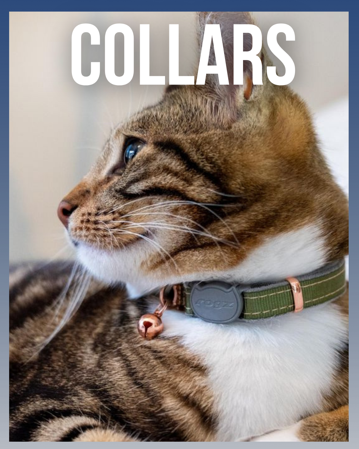 Collars