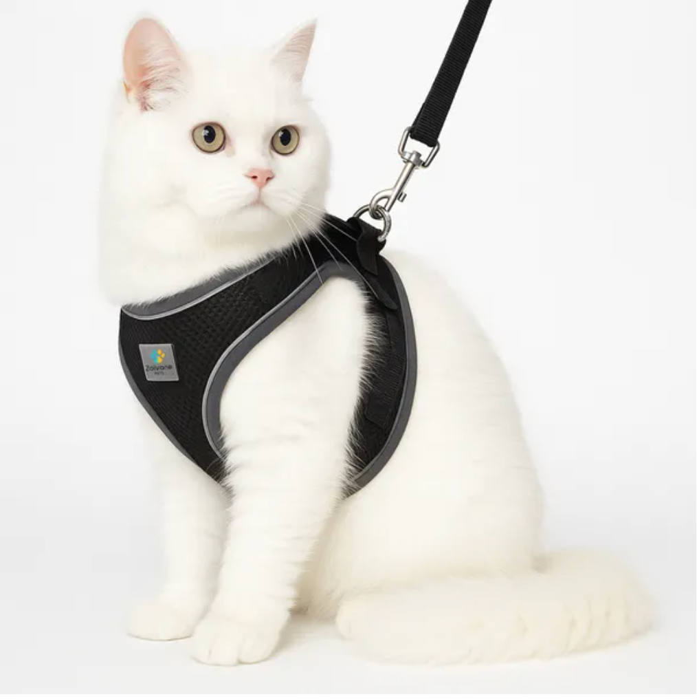 Pet Care Harness for Cats (Black)