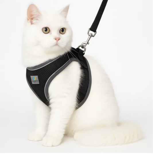 Pet Care Harness for Cats (Black)