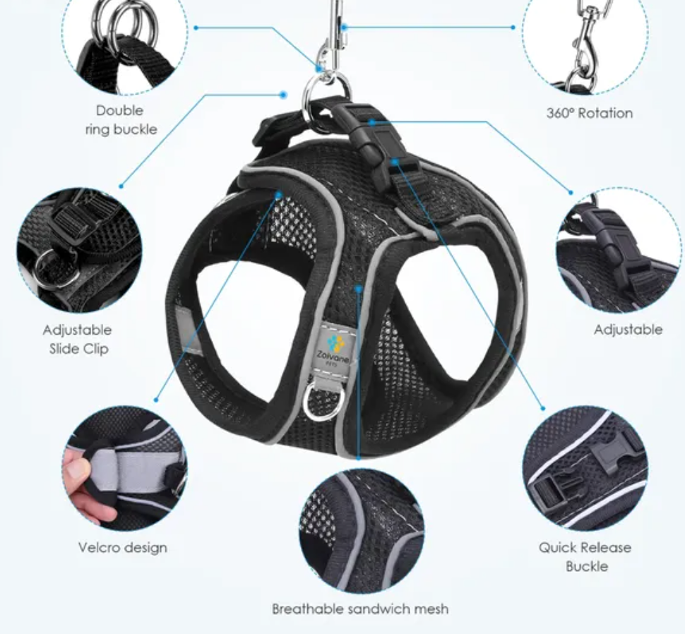 Pet Care Harness for Cats (Black)