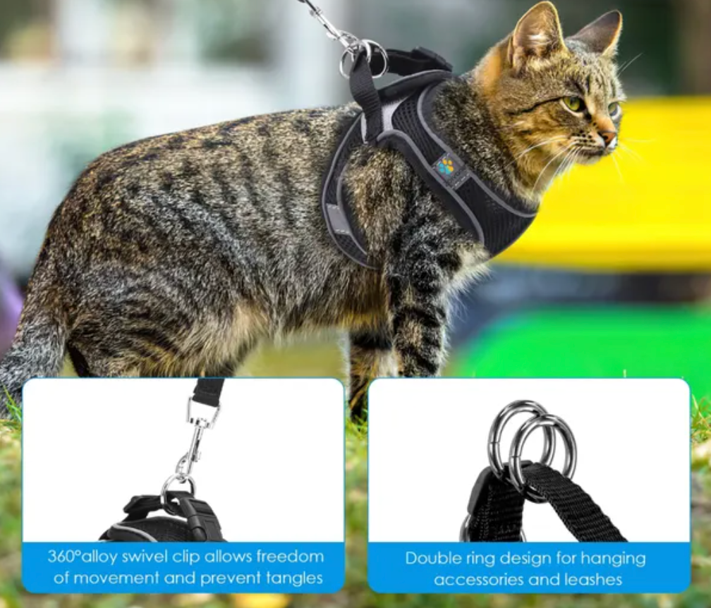 Pet Care Harness for Cats (Black)