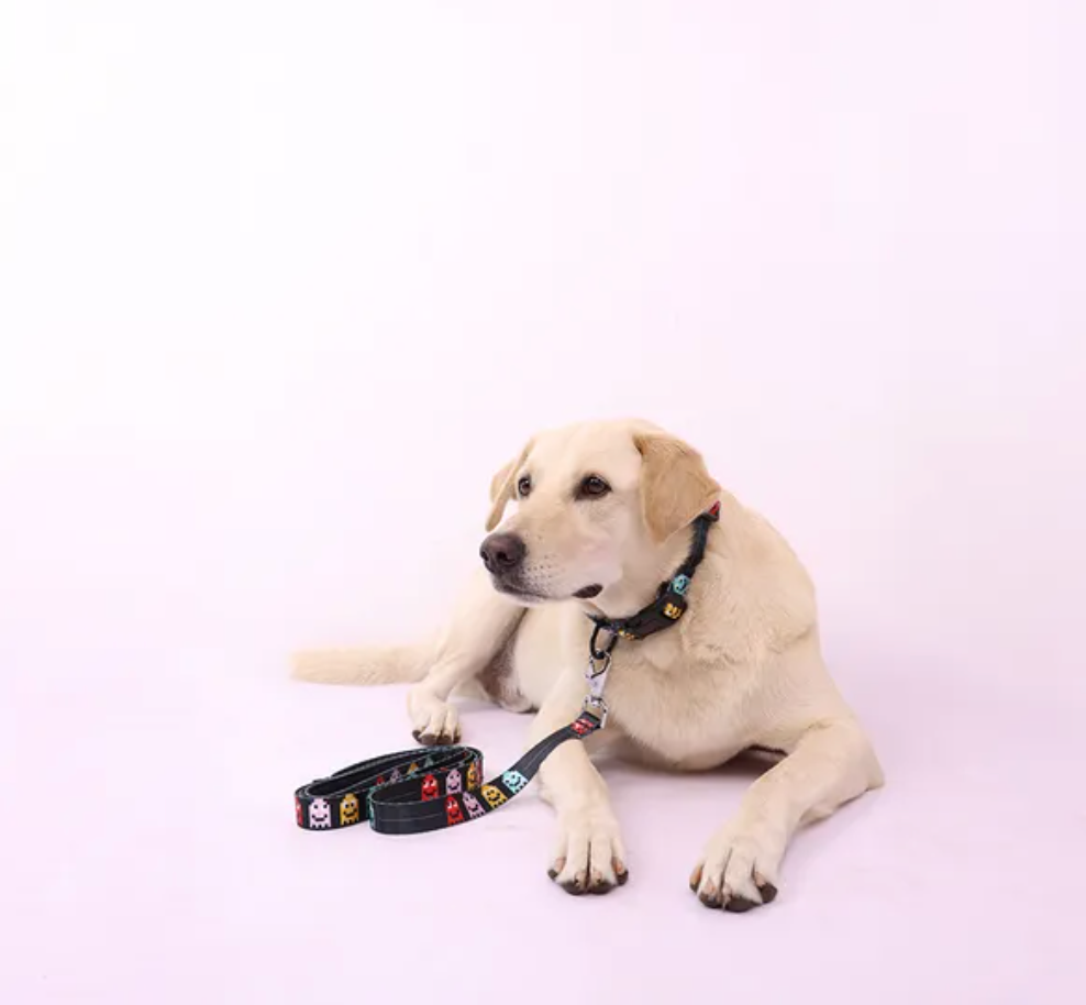 Arcade Mood Collar for Dogs